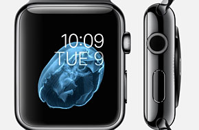 库克要泪奔：Apple Watch还不如iPod受宠