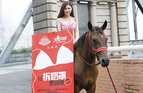CJ 2015:《X战娘》笑笑骑马现身上海 邀宅男来CJ