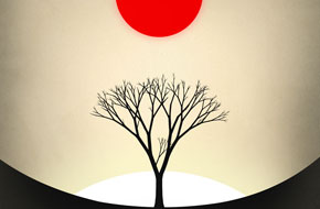 《时代周刊》年度10大游戏揭晓，文艺风手游《Prune》摘冠