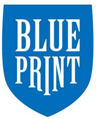 D2C设子公司BLUE PRINT专营手游